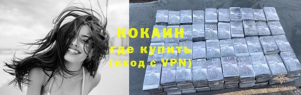 соль ск Новодвинск