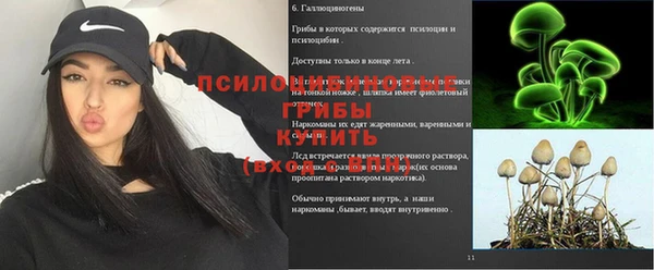 кокс Новозыбков