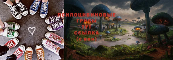 соль ск Новодвинск