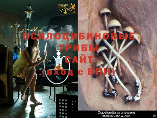 стаф Нефтекумск