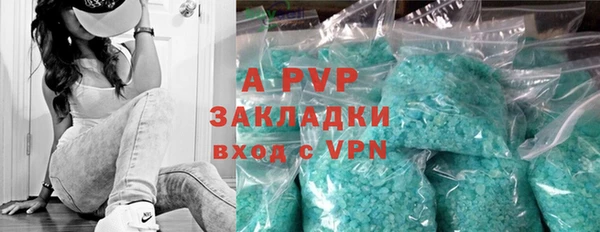 стаф Нефтекумск