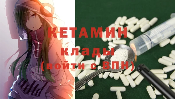 соль ск Новодвинск