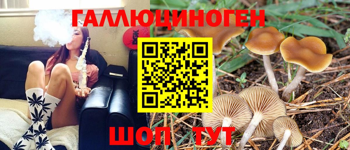 Псилоцибиновые грибы мицелий  Красноуфимск 